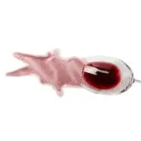 Wine Stains